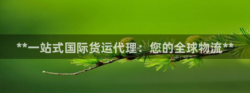尊龙人生就是博l：**一站式国际货运代理：您的全球物流*
