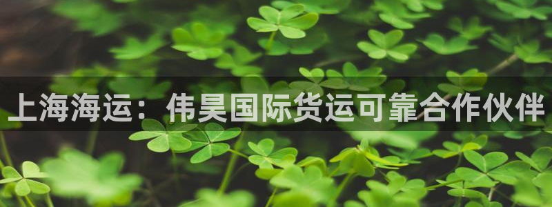 尊龙人生就是博d88官方网站：上海海运：伟昊国际货运可靠