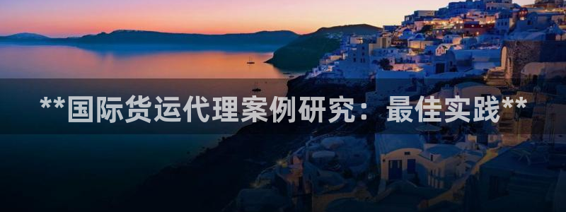 尊龙人生就是-首页：**国际货运代理案例研究：最佳实践*