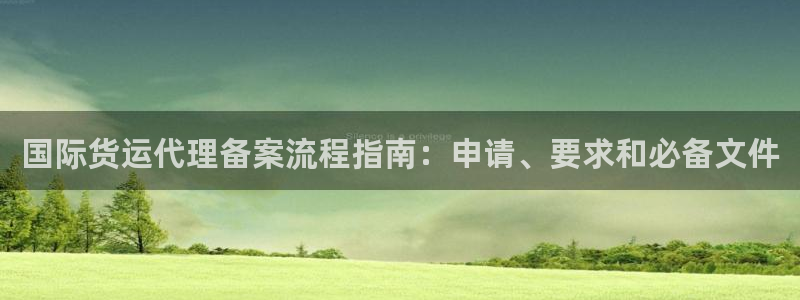 尊龙官方平台：国际货运代理备案流程指南：申请、要求和必备