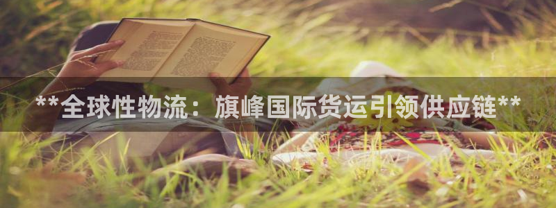 尊龙凯时d5138：**全球性物流：旗峰国际货运引领供应