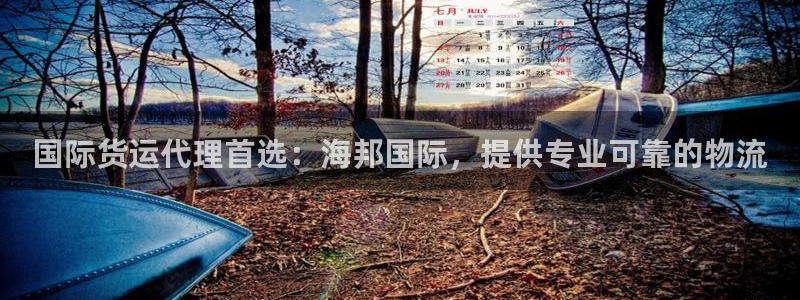 尊龙网页：国际货运代理首选：海邦国际，提供专业可靠的物流