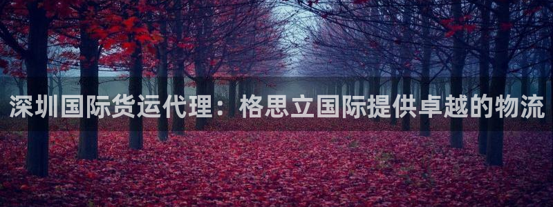 尊龙凯时网站登录：深圳国际货运代理：格思立国际提供卓越的