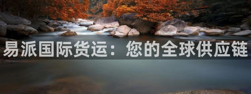 尊龙 6：易派国际货运：您的全球供应链