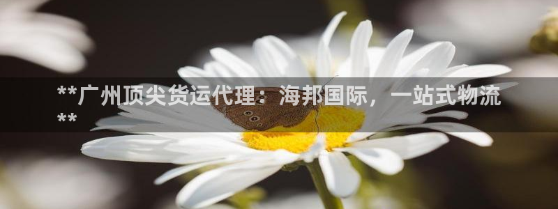 尊龙人生就是博用现金玩一下：**广州顶尖货运代理：海邦国