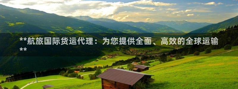 尊龙凯时 - 人生就是搏!：**航旅国际货运代理：为您提