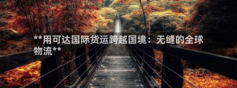 尊龙官网手机版下载：**用可达国际货运跨越国境：无缝的全