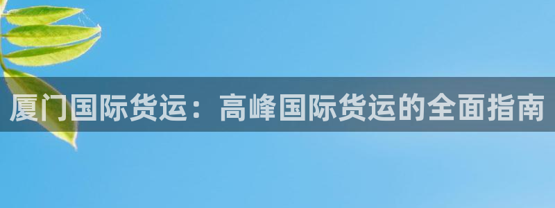 尊龙ag旗舰厅官网登录：厦门国际货运：高峰国际货运的全面