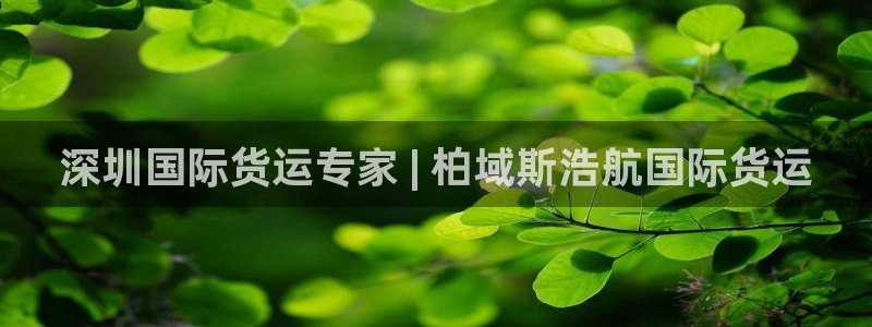 尊龙官网国际：深圳国际货运专家 | 柏域斯浩航国际货运
