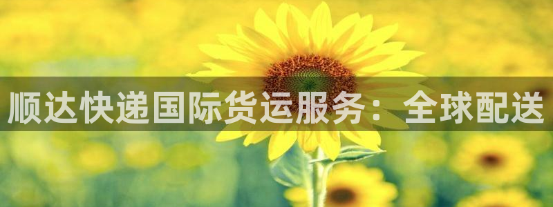 z6尊龙凯时旗：顺达快递国际货运服务：全球配送