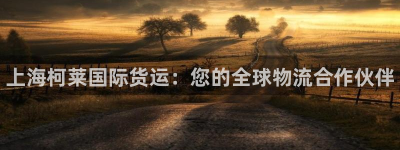 尊龙凯时取钱很慢：上海柯莱国际货运：您的全球物流合作伙伴