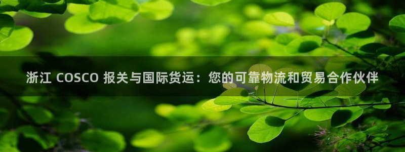 尊龙凯时旗舰厅官网：浙江 COSCO 报关与国际货运：您