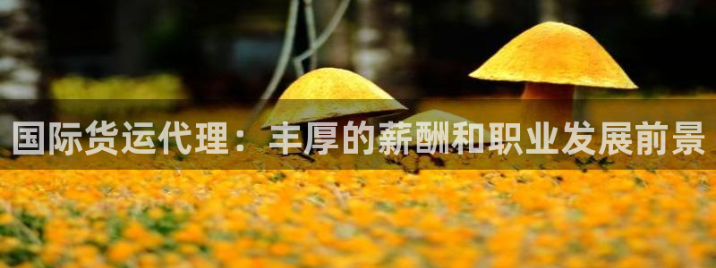 尊龙凯时 人生就是搏 平台：国际货运代理：丰厚的薪酬和职