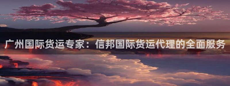 尊龙凯时新闻：广州国际货运专家：信邦国际货运代理的全面服