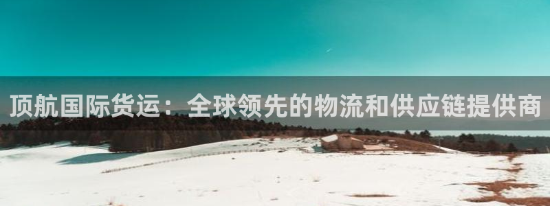 尊龙官方网站：顶航国际货运：全球领先的物流和供应链提供商