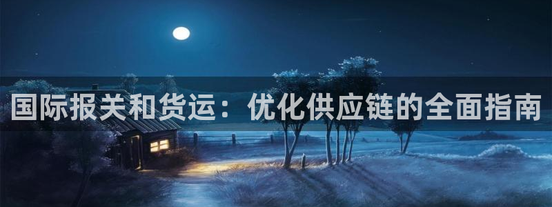 尊龙凯时网站网址：国际报关和货运：优化供应链的全面指南