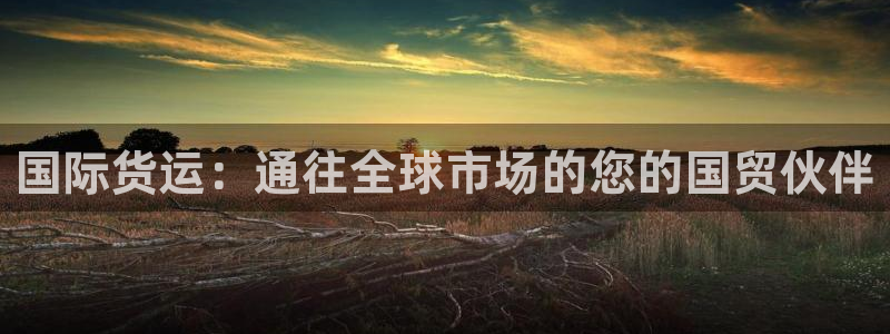 尊龙d88官网登录下载：国际货运：通往全球市场的您的国贸