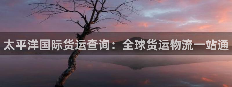 尊龙凯时捕鱼游戏能玩吗：太平洋国际货运查询：全球货运物流