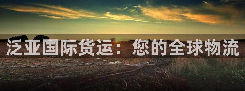 尊龙软件下载：泛亚国际货运：您的全球物流
