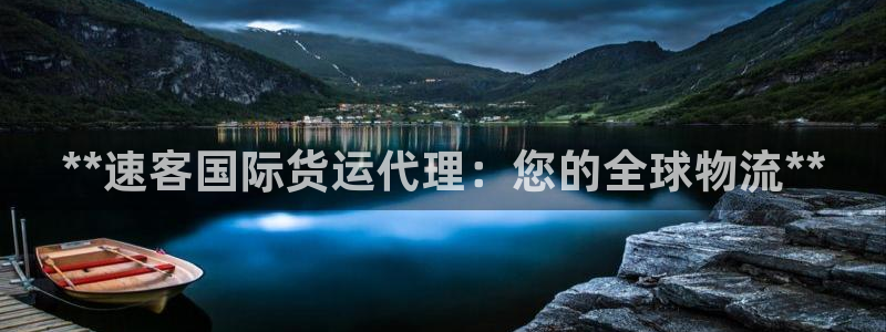 尊龙z6集团：**速客国际货运代理：您的全球物流**