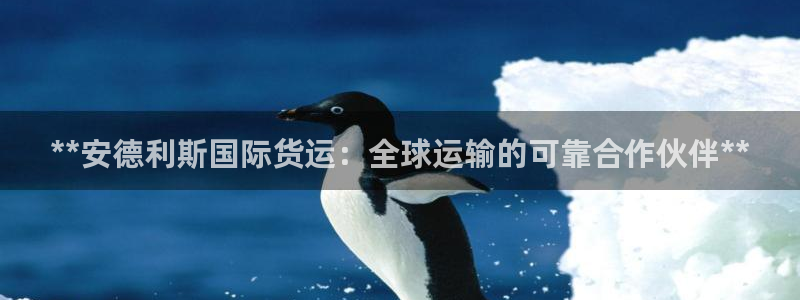 尊龙凯时登陆入口：**安德利斯国际货运：全球运输的可靠合