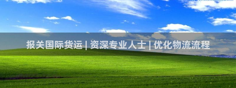 尊龙下载推荐网站：报关国际货运 | 资深专业人士 | 优