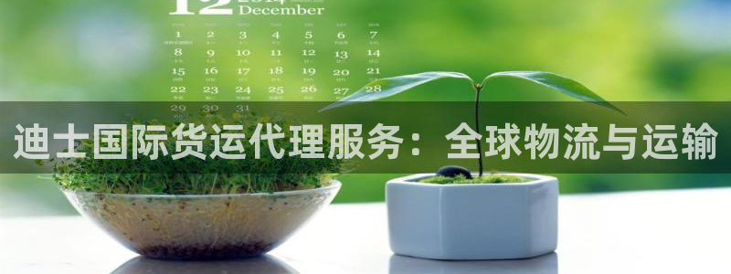 尊龙凯时处理未到账：迪士国际货运代理服务：全球物流与运输