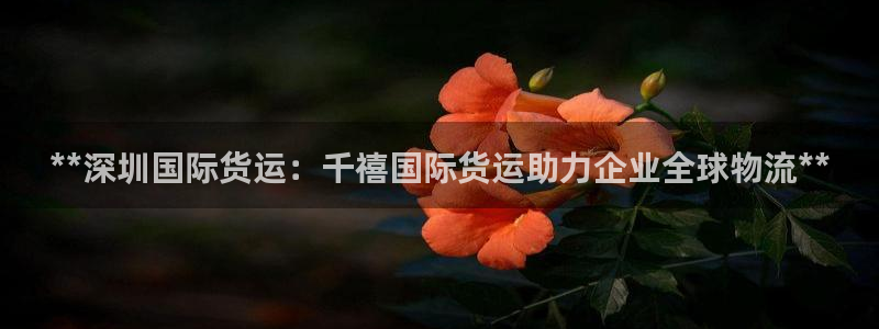 尊龙凯时输了100万：**深圳国际货运：千禧国际货运助力