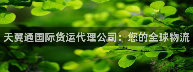 尊龙z6平台：天翼通国际货运代理公司：您的全球物流