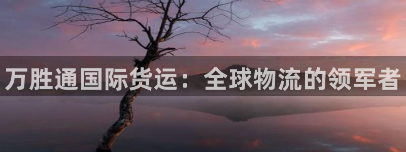 尊龙凯时赞助