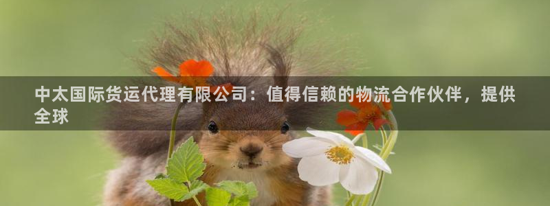 尊龙凯时平台正规吗