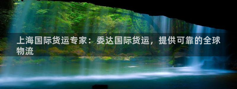 尊龙凯时ag旗舰厅登陆：上海国际货运专家：委达国际货运，