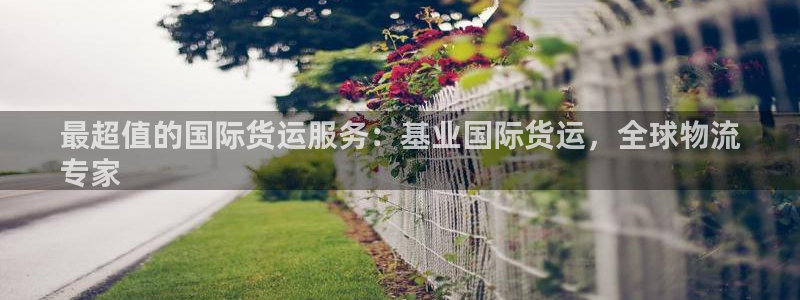 尊龙会ktv价格：最超值的国际货运服务：基业国际货运，全