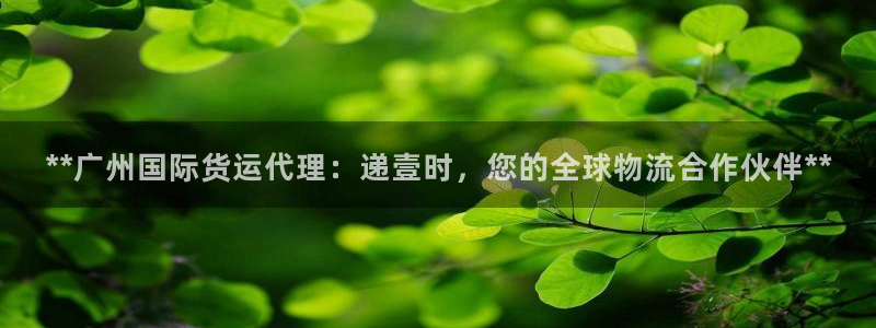 尊龙d88手机版下载：**广州国际货运代理：递壹时，您的