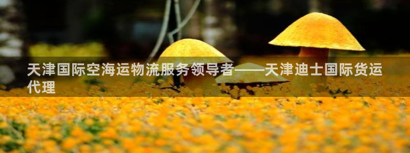 尊龙一人生就是搏：天津国际空海运物流服务领导者——天津迪