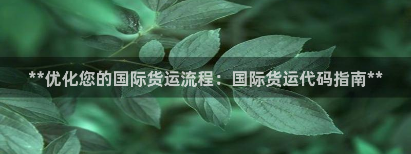 尊龙人生就是博中国区：**优化您的国际货运流程：国际货运