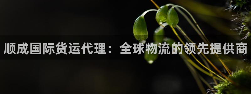 尊龙凯时充十万返现多少