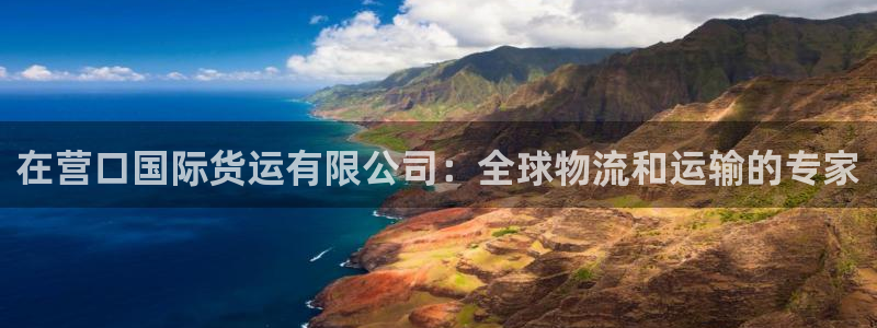 尊龙网站 人生就是博：在营口国际货运有限公司：全球物流和