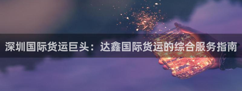 尊龙t600怎么样：深圳国际货运巨头：达鑫国际货运的综合