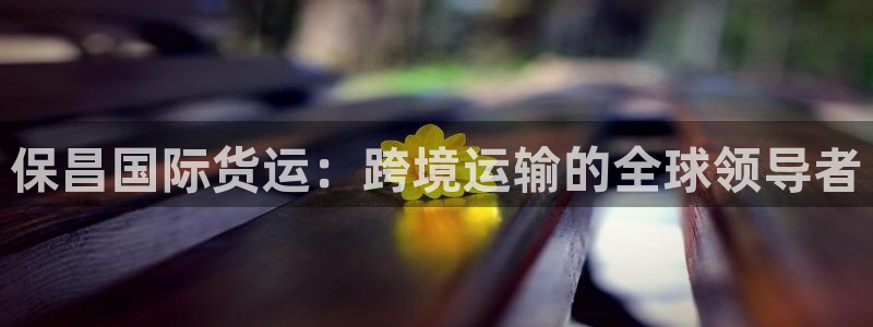 尊龙z6平台：保昌国际货运：跨境运输的全球领导者