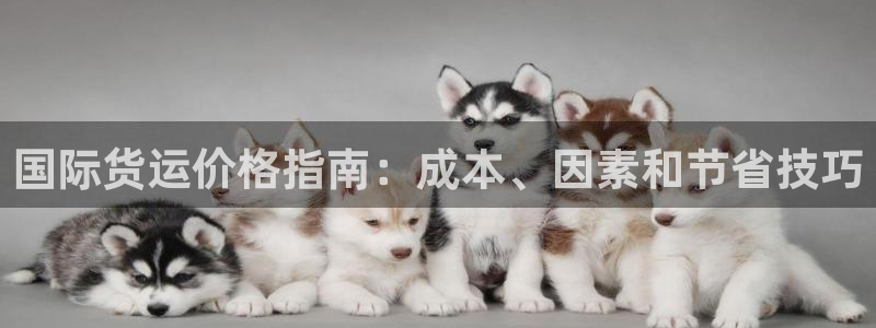 尊龙凯时城游戏官网：国际货运价格指南：成本、因素和节省技