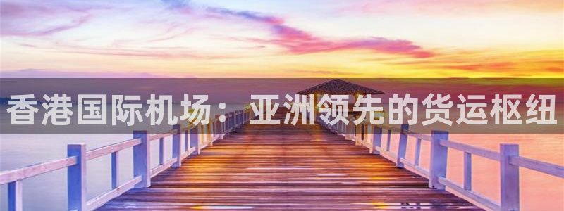 尊龙专访视频：香港国际机场：亚洲领先的货运枢纽