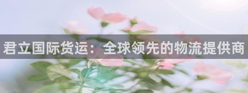 尊龙集团有限公司招聘：君立国际货运：全球领先的物流提供商