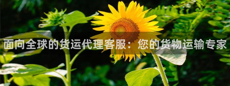 尊龙凯时凯发官网：面向全球的货运代理客服：您的货物运输专