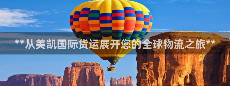 尊龙人生就是博旧版现：**从美凯国际货运展开您的全球物流