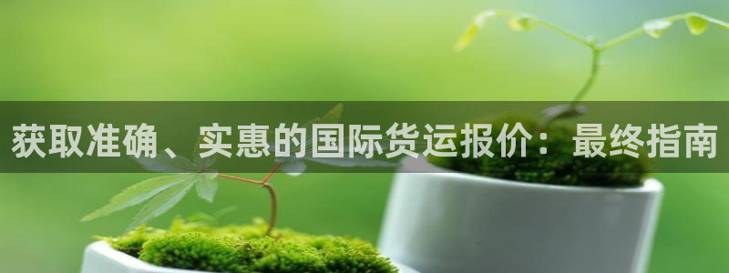 尊龙 国外：获取准确、实惠的国际货运报价：最终指南