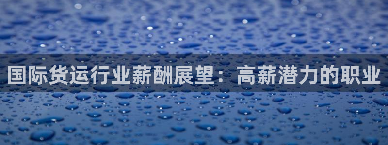 尊龙人生就是博AG旗舰厅：国际货运行业薪酬展望：高薪潜力