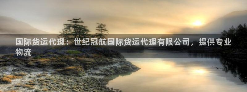 尊龙eight is enough：国际货运代理：世纪冠