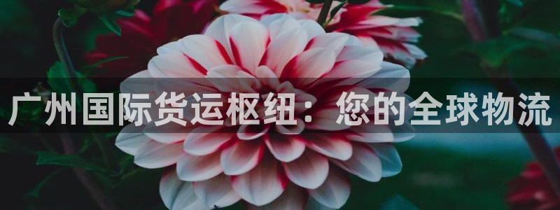 尊龙凯时发展历程：广州国际货运枢纽：您的全球物流