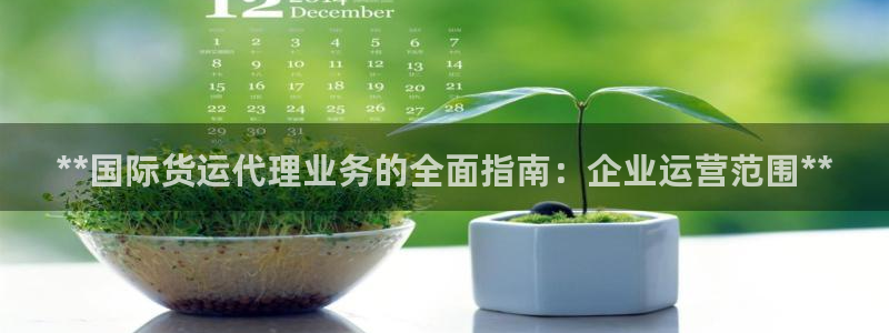 尊龙集团官网：**国际货运代理业务的全面指南：企业运营范